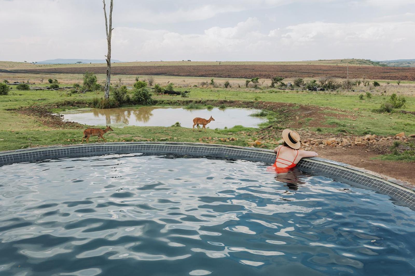 Nambiti Plains Lodge Ladysmith Exterior photo