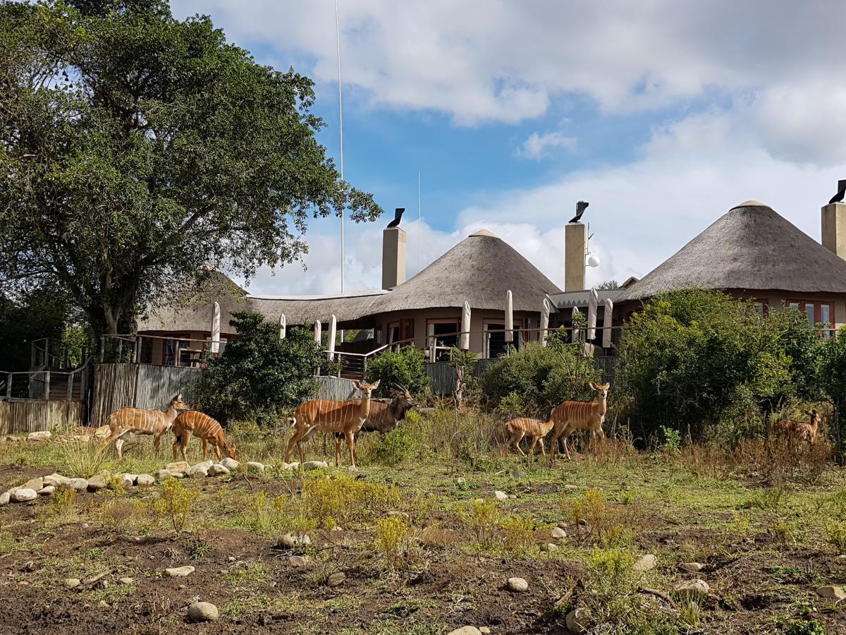 Nambiti Plains Lodge Ladysmith Exterior photo
