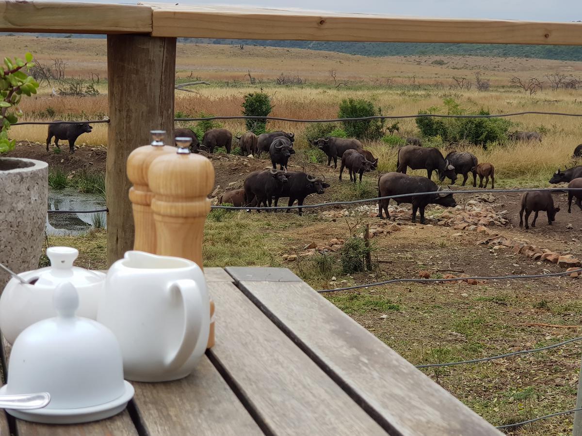 Nambiti Plains Lodge Ladysmith Exterior photo