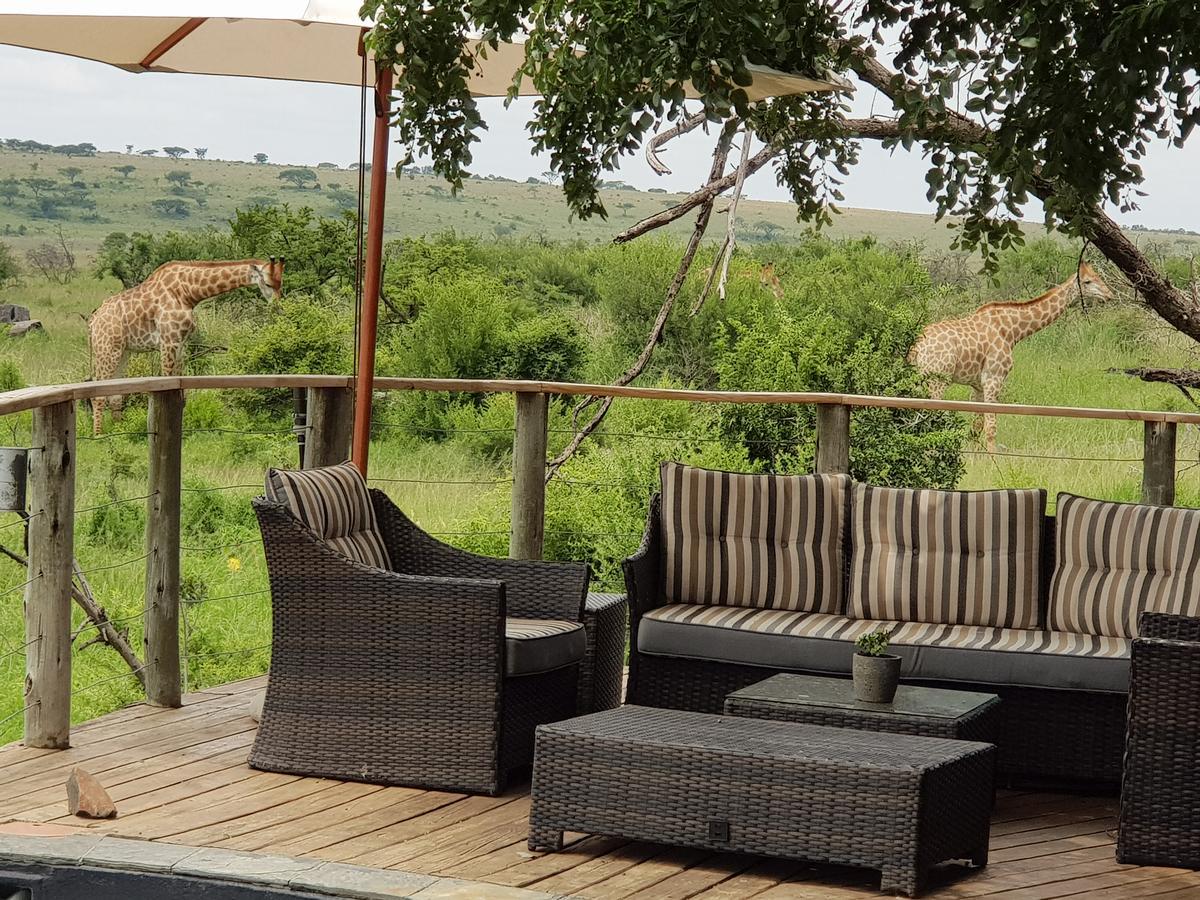 Nambiti Plains Lodge Ladysmith Exterior photo
